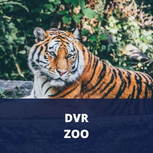 DVR Zoo