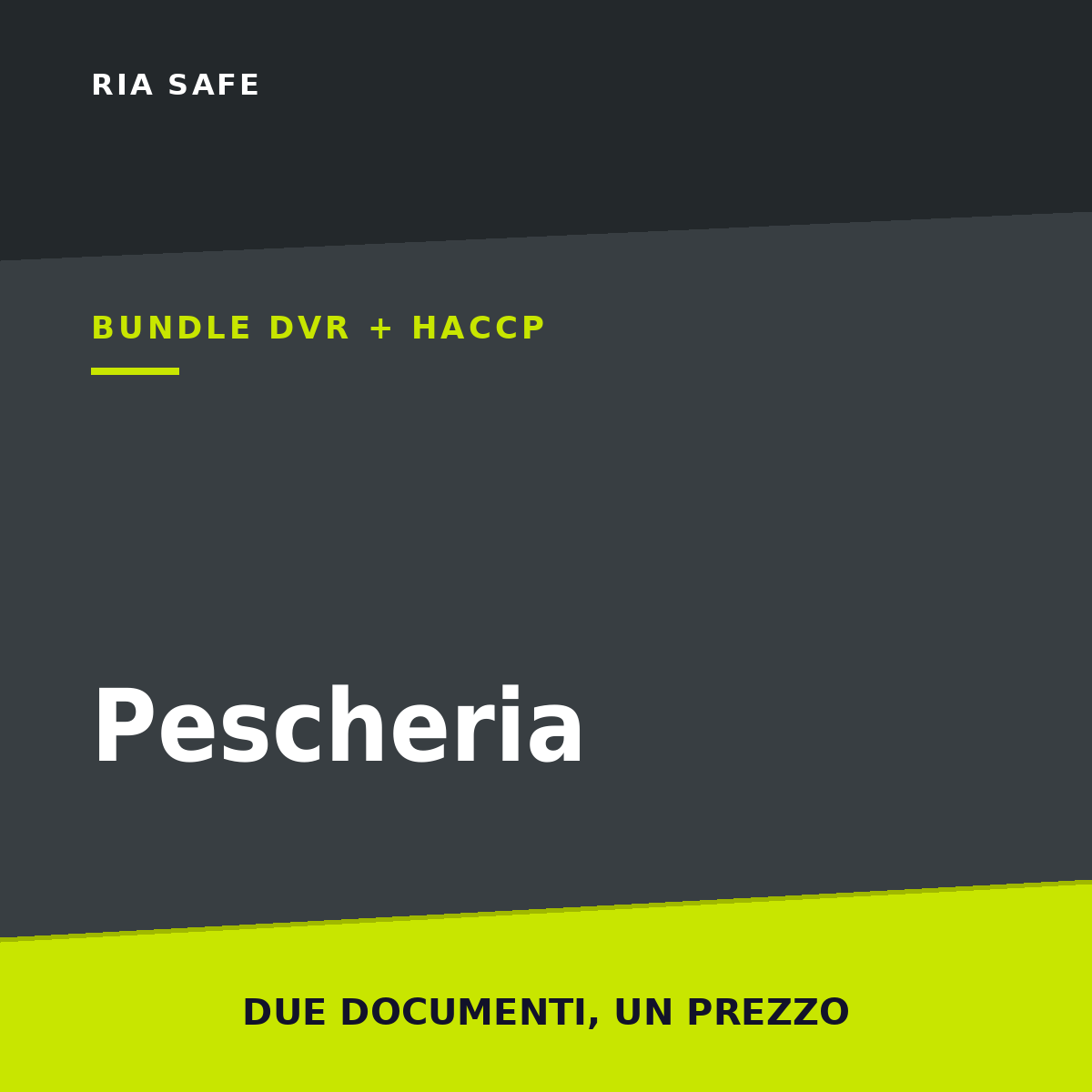 Bundle DVR + HACCP Pescheria