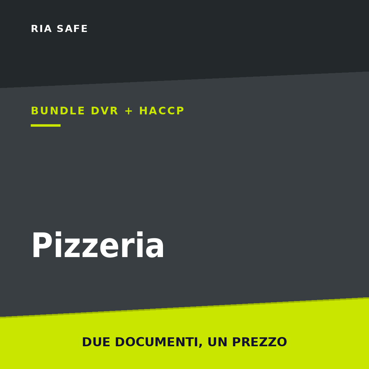 Bundle DVR + HACCP Pizzeria