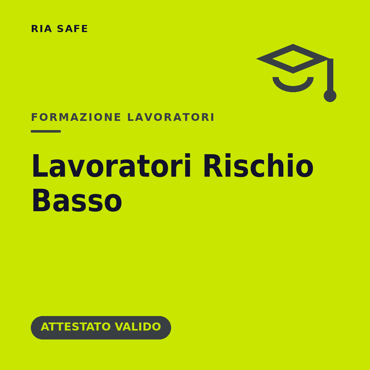 Lavoratori Rischio Basso