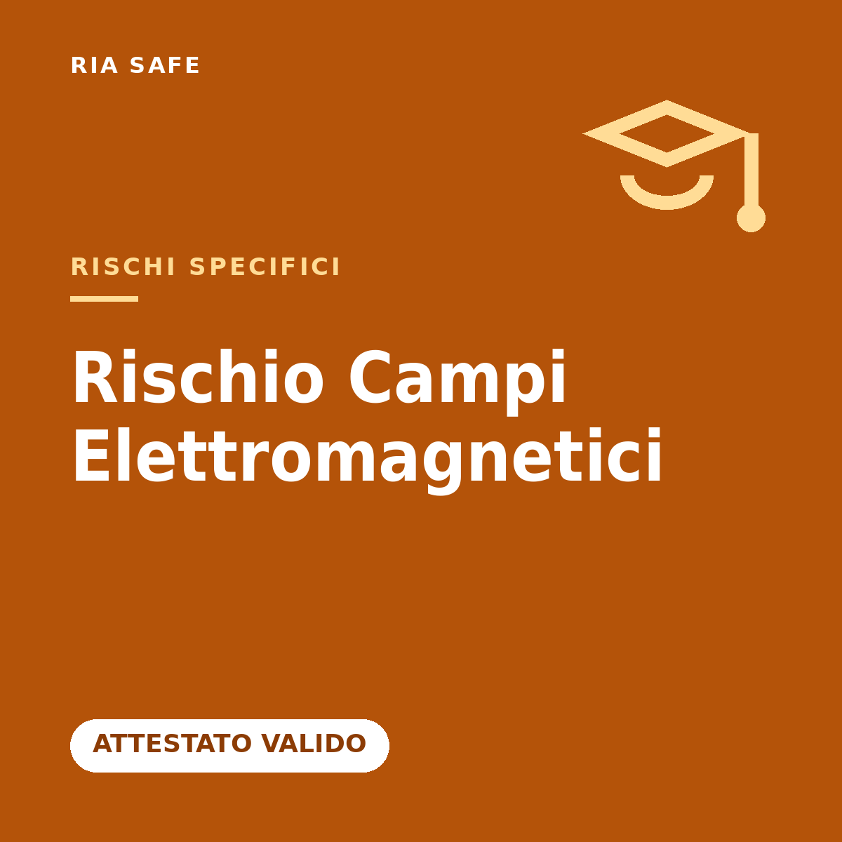 Rischio Esposizione ai Campi Elettromagnetici