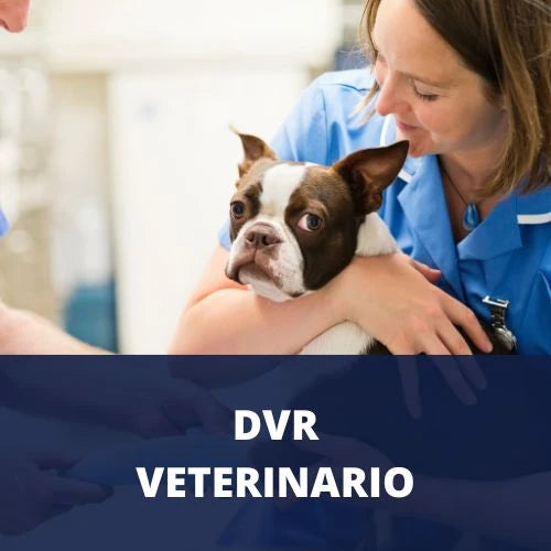 DVR Veterinario