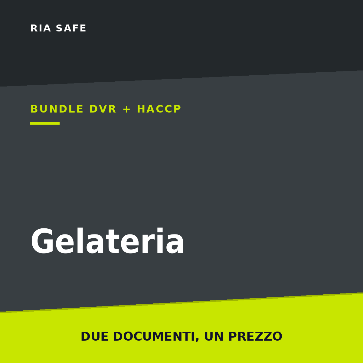 Bundle DVR + HACCP Gelateria