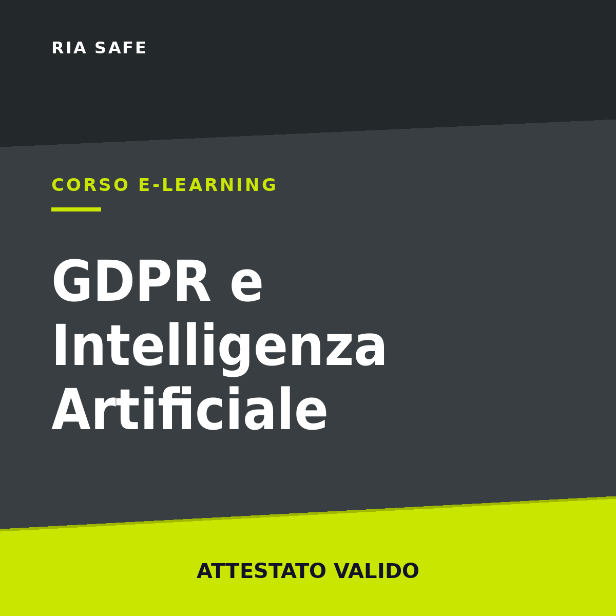 Corso - GDPR e Intelligenza Artificiale