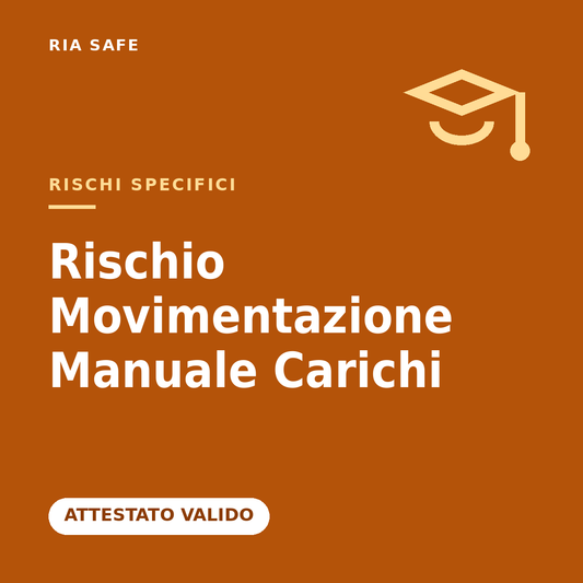 Rischio Movimentazione Manuale dei Carichi