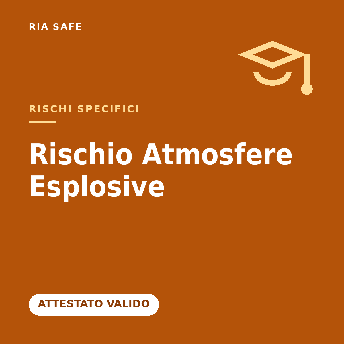 Rischio Atmosfere Esplosive