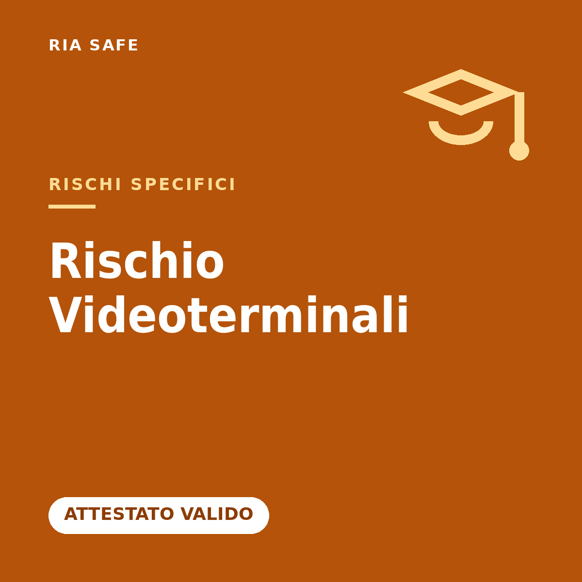 Rischio Videoterminali